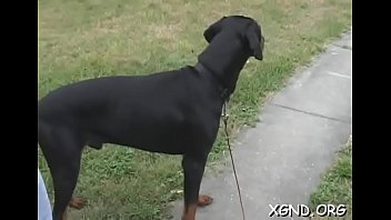 角質の隣人に基づいたティーン
