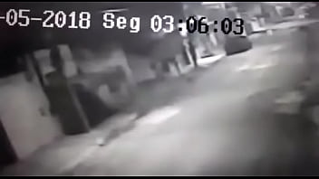 イーターは路地で棒を求めて喉が渇いたに侵入しようとし、それから飛び去ろうとしますが、鳩はストライドをとることができません。mp4パート1