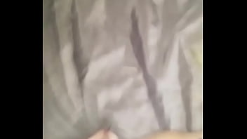 この白い猫を所有している