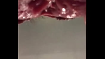 Unicorncervix чрезвычайно близко зияет с трахом в зеркале. Широкий и раздутый крайний крупный план графической точки зрения. Экстремальный