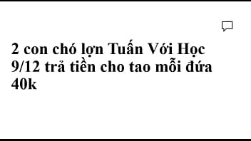 2 con chó lợn Học với Tuấn (9/12) mỗi đứa trả tao 40k