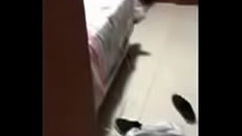 猫をクソ兄弟を撮影する隠し