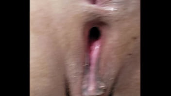 私の小さな猫を見てください