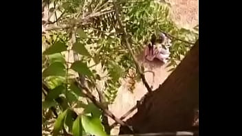 デジおばさん放尿盗撮-2