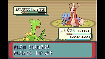 【ゆっくり実況】全てのポケモンが出現するサファイアpart19【改造ポケモン】