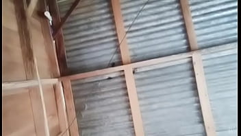 Очень взволнован ... Perrisima x3