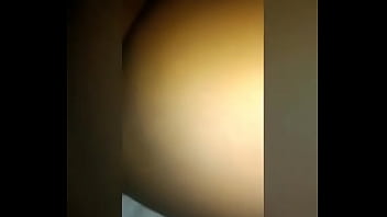 雌犬は記録することが許可されています