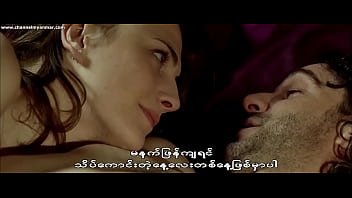 ニンフォマニアックの日記（2008）（ミャンマー字幕）