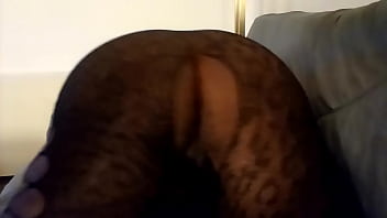そのすべての猫を見てください