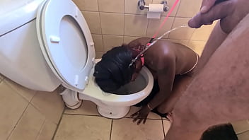 デジ娼婦は犬のようにトイレに歩いて顔を怒らせてチンポをしゃぶる