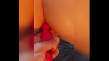 私の犬はひもにつないで緩んでいて、彼女の猫に欲望に夢中になっていて、もちろん彼女の尻尾に驚きを隠していました