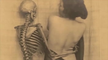 ダークランタンエンタテインメントは「彼女の年齢に似合う」を提示します