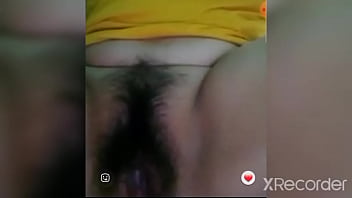Linda borboleta amante 85