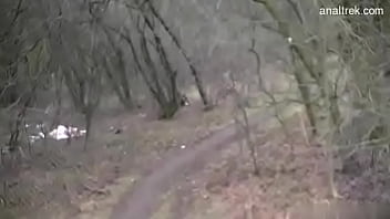 素敵な騎乗位クミンマウス