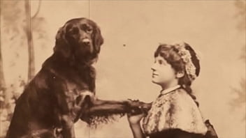 ダークランタンエンタテインメントは「美女と野獣」を紹介します