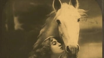 ダークランタンエンタテインメントは「美女と野獣」を紹介します