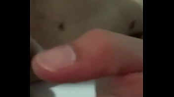 あごひげを生やした保守的な斑点が尻尾を見せている