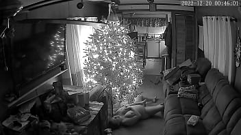 私はクリスマスツリーの下で何か良いものをスパイします