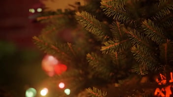 ナオミのクリスマスツリーの成長！
