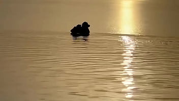 莫妮卡·福克斯在海中摆出唯美的姿势
