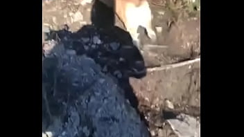 Добрый день! люблю лето и море )