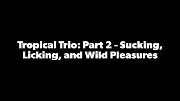 Tropicalpussy - обновление № 27 - Тропическое трио: Часть 2 - Сосание, лизание и дикие удовольствия - 3 января 2024 г.