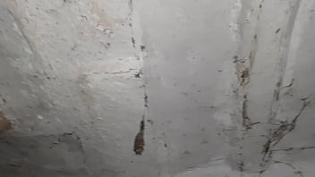 みんなから離れてオナニーしていたら、イってるところを見られてしまった - ガールズフライオーガズム