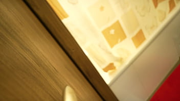 義理の弟がトイレに忍び込んでフェラチオをしてもらう